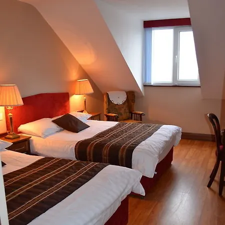 ホテル The Viking House Hotel 3*