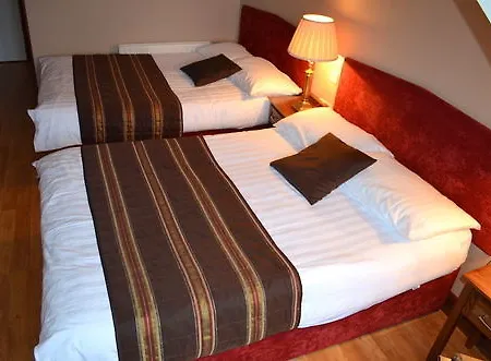 The Viking House Hotel ホテル 3*