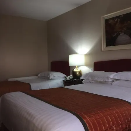 The Viking House Hotel 3*