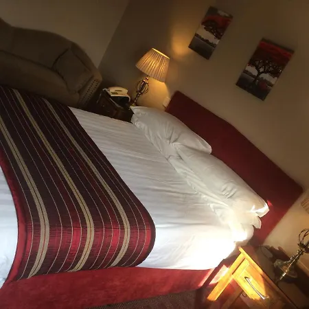 ホテル The Viking House Hotel 3*