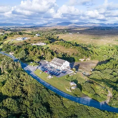 ホテル The Viking House Hotel 3*