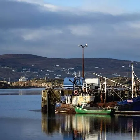 ホテル The Viking House Hotel