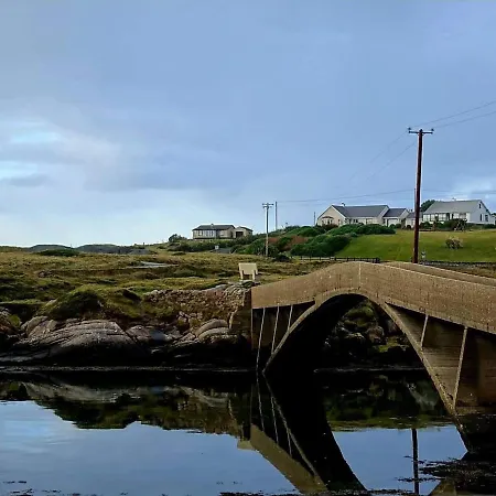 Szálloda The Viking House Hotel Kincasslagh