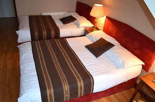 The Viking House Hotel Отель 3*