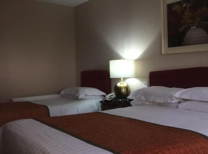 The Viking House Hotel 3*