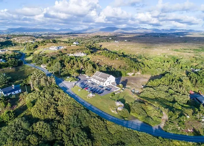 Отель The Viking House Hotel 3*