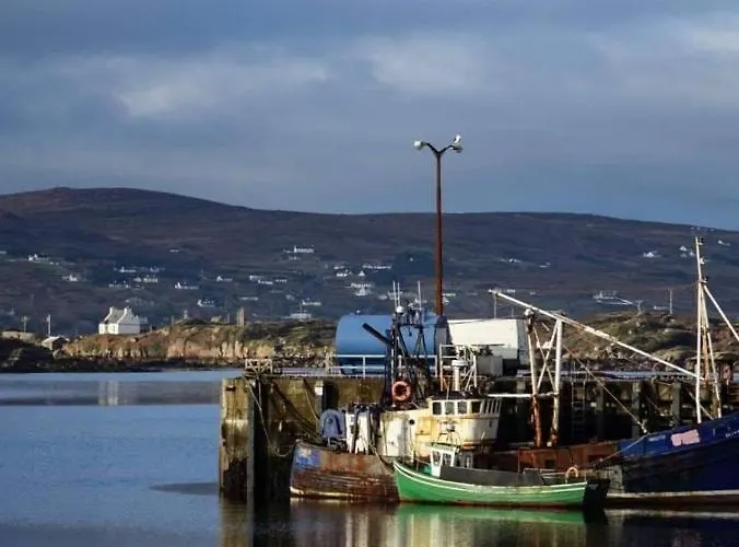 Hotel The Viking House Hotel