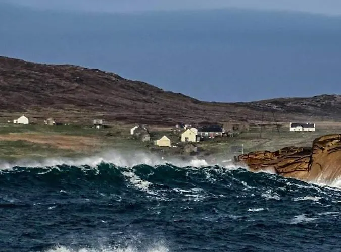 Viking House